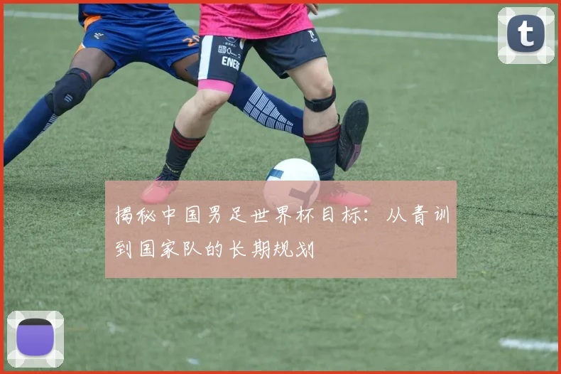 揭秘中国男足世界杯目标：从青训到国家队的长期规划